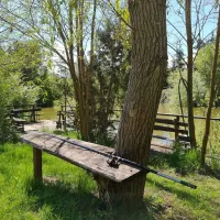 camping-barbara-lagow-qzurr