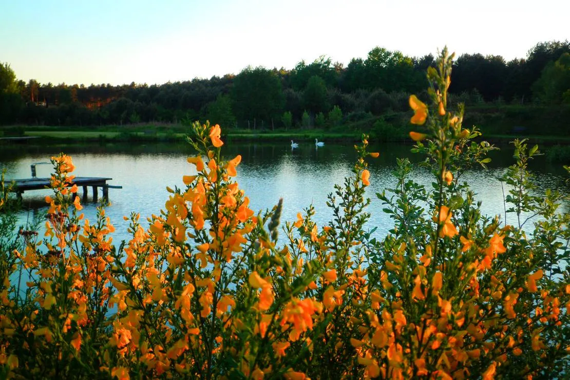 camping-barbara-lagow-yfzts
