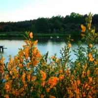 camping-barbara-lagow-yfzts