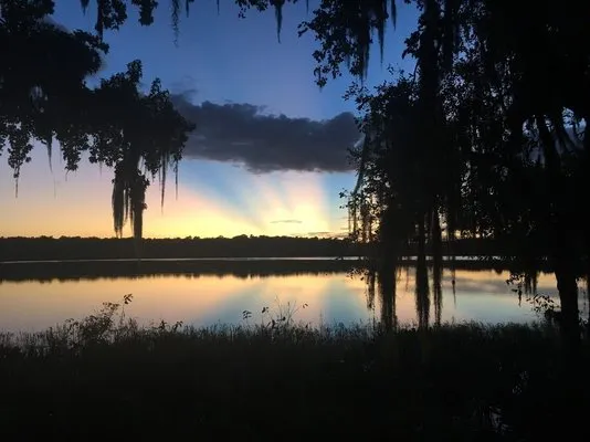 paynes-prairie-preserve-state-park-micanopy-bbfhm