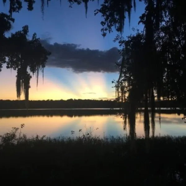 paynes-prairie-preserve-state-park-micanopy-bbfhm
