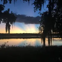 paynes-prairie-preserve-state-park-micanopy-bbfhm