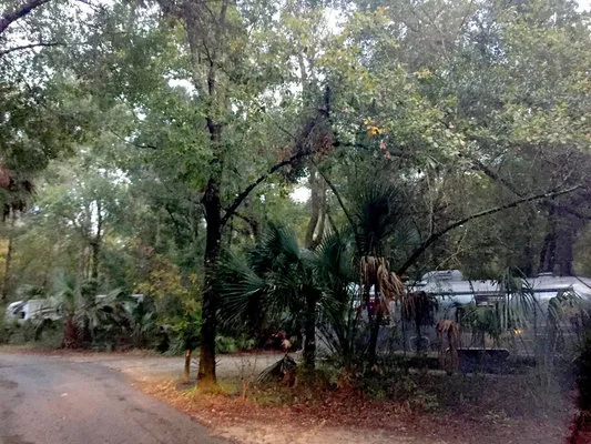 paynes-prairie-preserve-state-park-micanopy-ki5cq