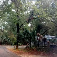 paynes-prairie-preserve-state-park-micanopy-ki5cq