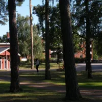 joelskogens-camping-nybro-vkbbt