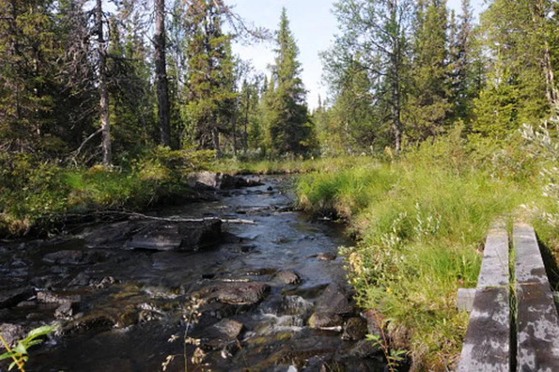 gala-fjallgard-camping-svenstavik-drclf
