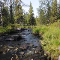 gala-fjallgard-camping-svenstavik-drclf