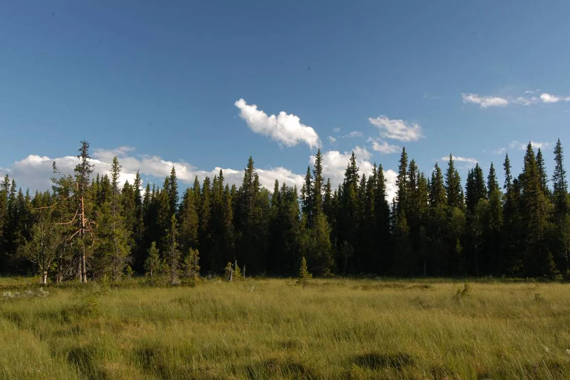 gala-fjallgard-camping-svenstavik-hbge6