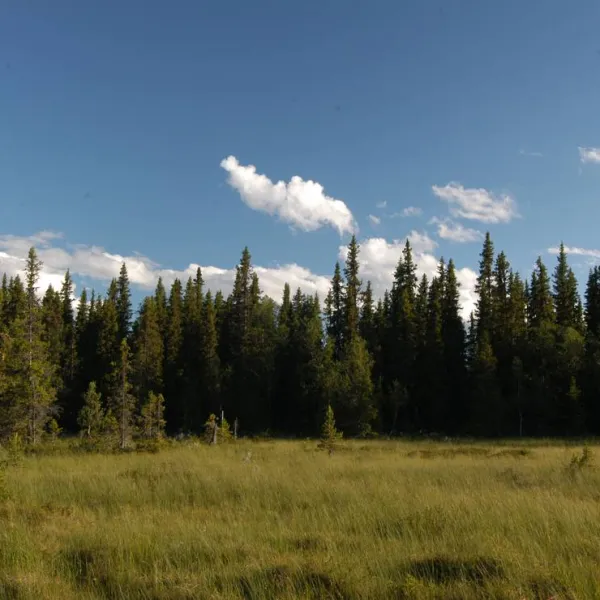 gala-fjallgard-camping-svenstavik-hbge6