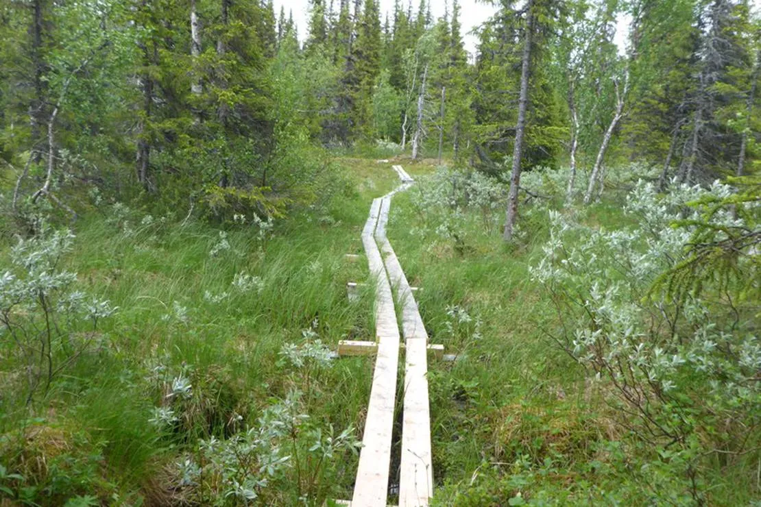 gala-fjallgard-camping-svenstavik-lgfet