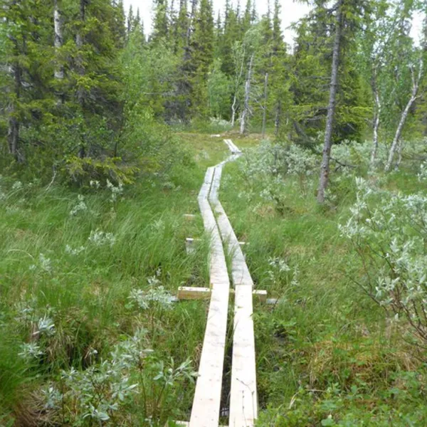 gala-fjallgard-camping-svenstavik-lgfet