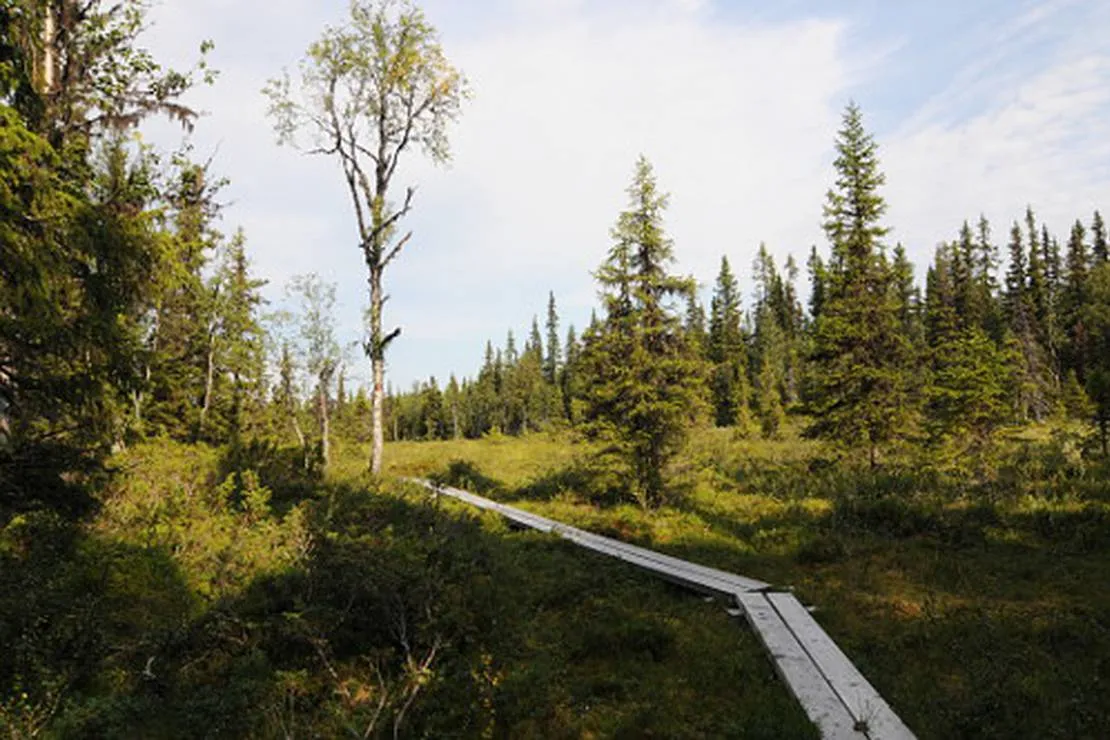 gala-fjallgard-camping-svenstavik-t4f63