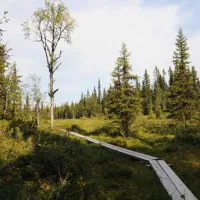 gala-fjallgard-camping-svenstavik-t4f63