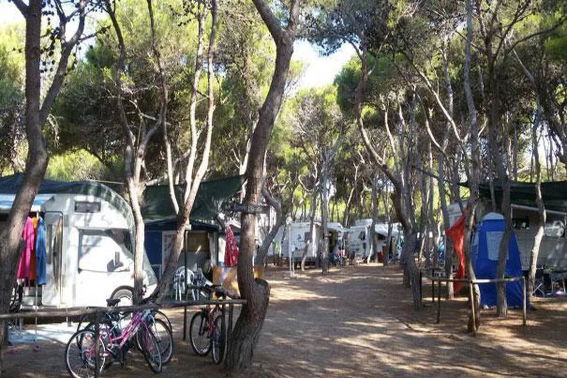 camping-sunbay-san-vito-x9z8o