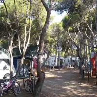 Camping Sunbay