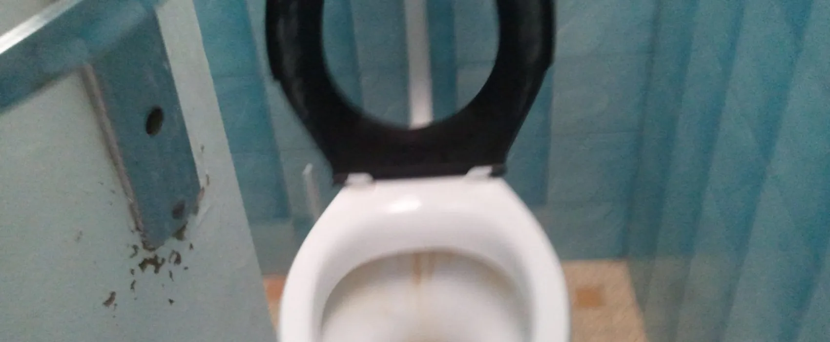 Ecutot