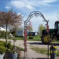 landschapscamping-polderzicht-sluis-c8kpf