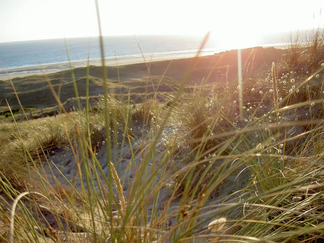 la-bocage-barneville-carteret-jyglq