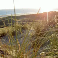 la-bocage-barneville-carteret-jyglq