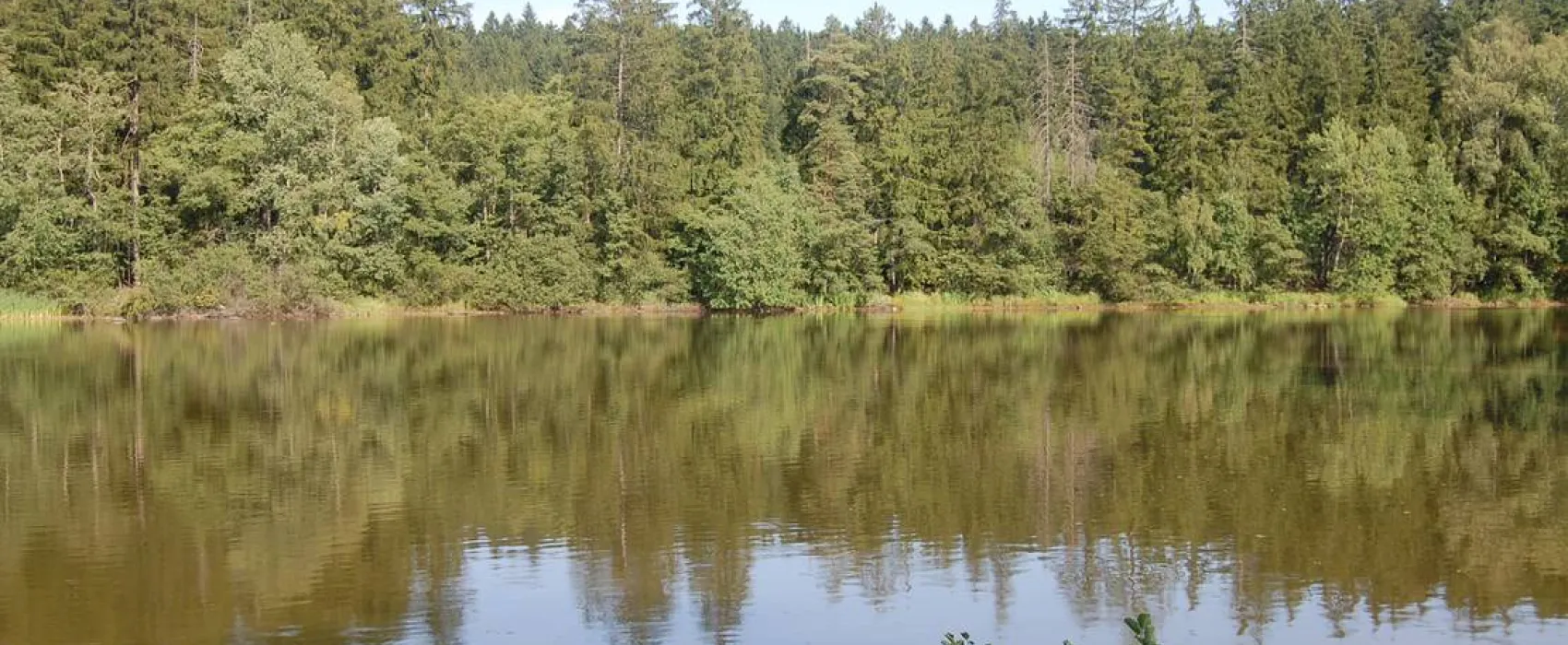 Park Fontana