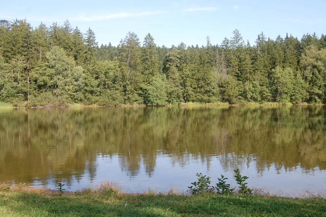 park-fontana-pocatky-ycgrd