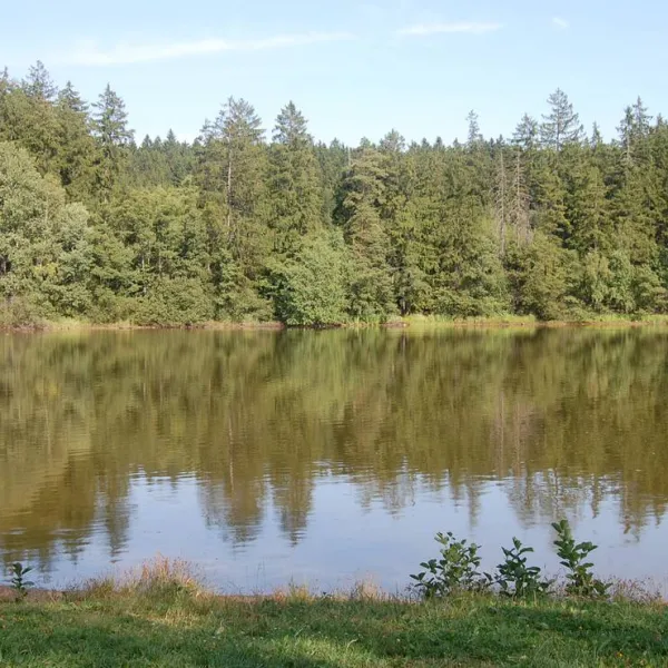 park-fontana-pocatky-ycgrd