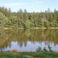 Park Fontana