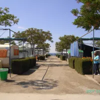 Playa de Mazarr¢n