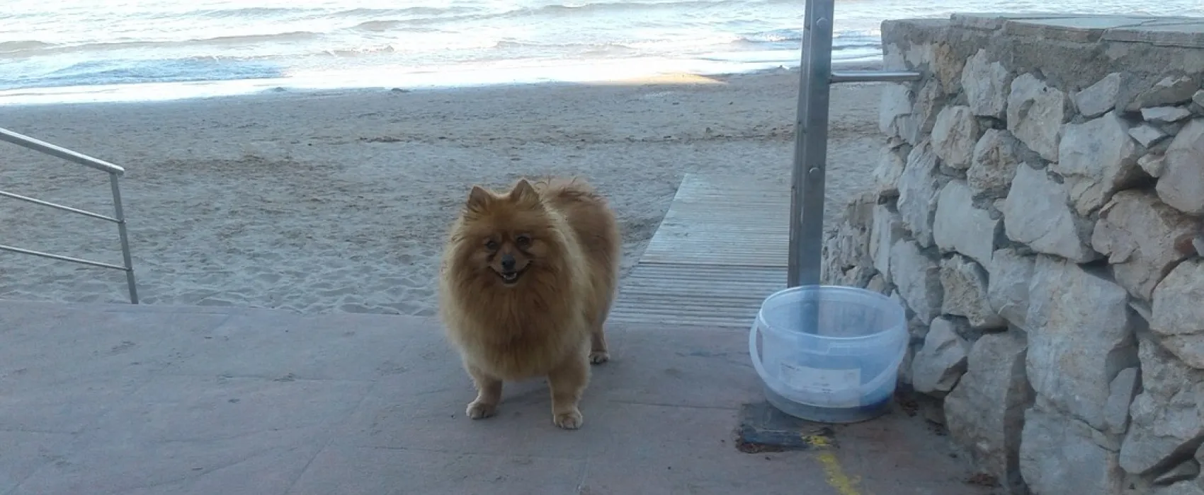 Playa de Mazarr¢n
