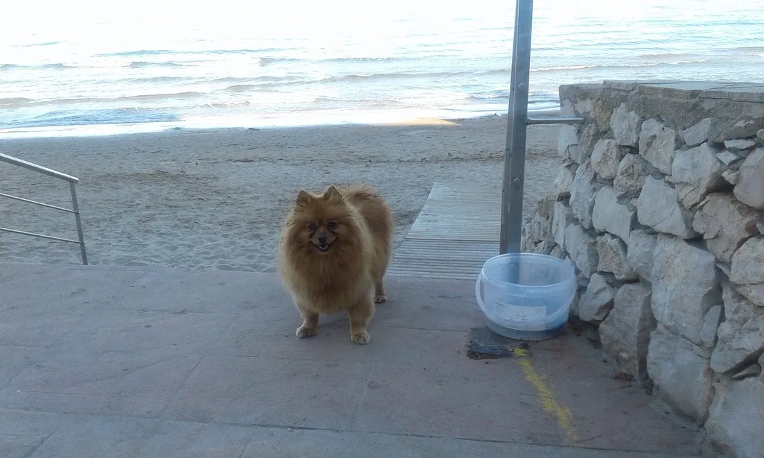 playa-de-mazarrcn-spanje-iowte