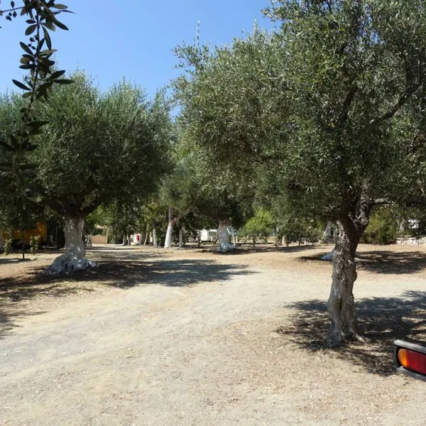 campingplatz-tsapi-messinia-xoq61