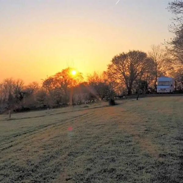 harmony-wood-naturist-campsite-certificated-site-exeter-5enok
