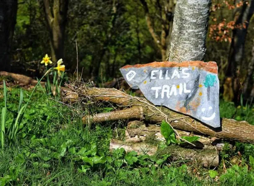 harmony-wood-naturist-campsite-certificated-site-exeter-morb2