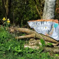 harmony-wood-naturist-campsite-certificated-site-exeter-morb2