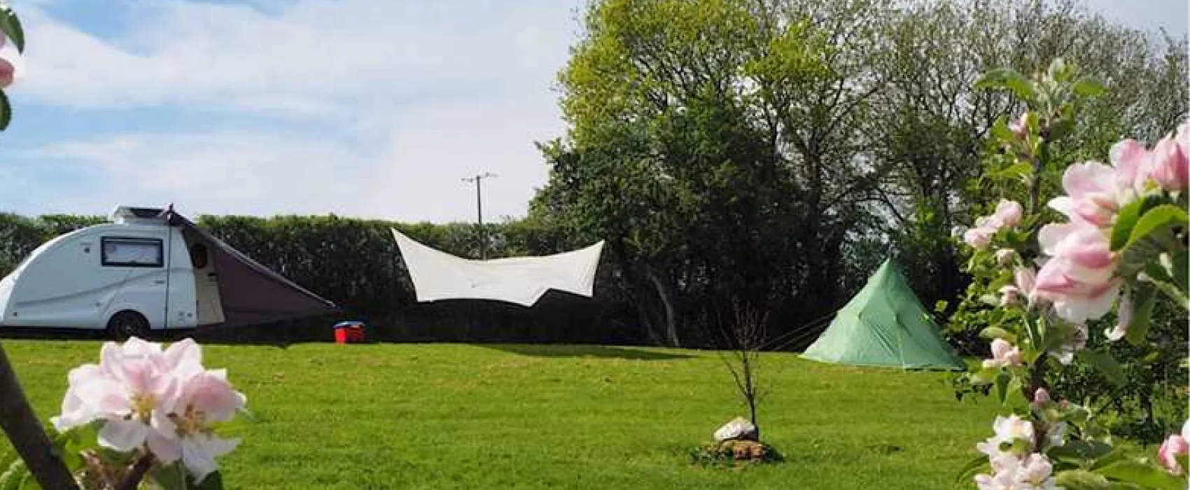 Harmony Wood Naturist Campsite Certificated Site