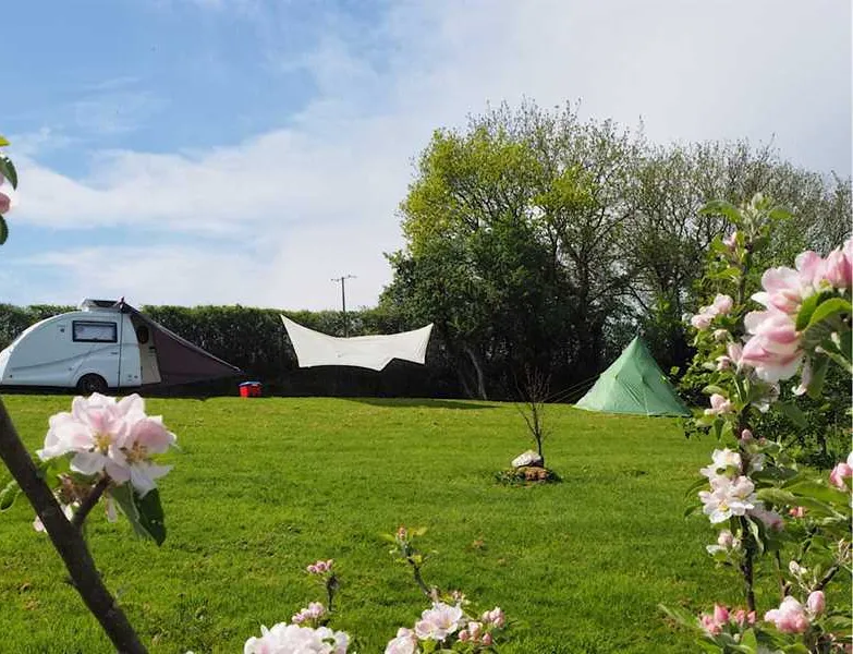 harmony-wood-naturist-campsite-certificated-site-exeter-msv5j