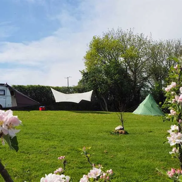Harmony Wood Naturist Campsite Certificated Site