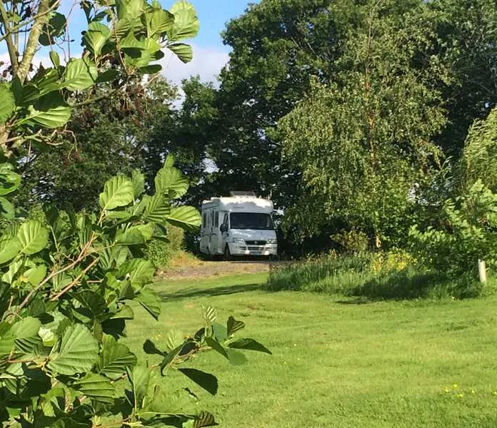 harmony-wood-naturist-campsite-certificated-site-exeter-mxnij