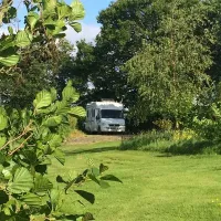 harmony-wood-naturist-campsite-certificated-site-exeter-mxnij