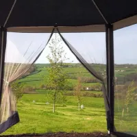harmony-wood-naturist-campsite-certificated-site-exeter-npy6t