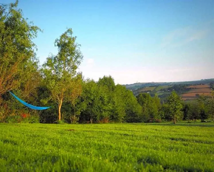 harmony-wood-naturist-campsite-certificated-site-exeter-q8arm