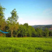 harmony-wood-naturist-campsite-certificated-site-exeter-q8arm