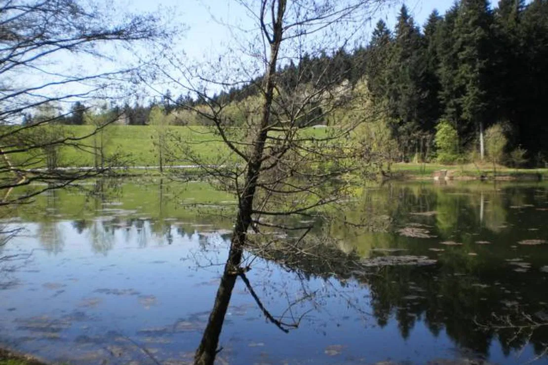 campingplatz-gotzenbachsee-goggingen-kwfvk
