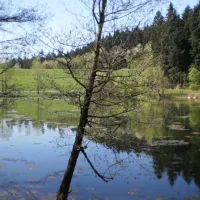 campingplatz-gotzenbachsee-goggingen-kwfvk