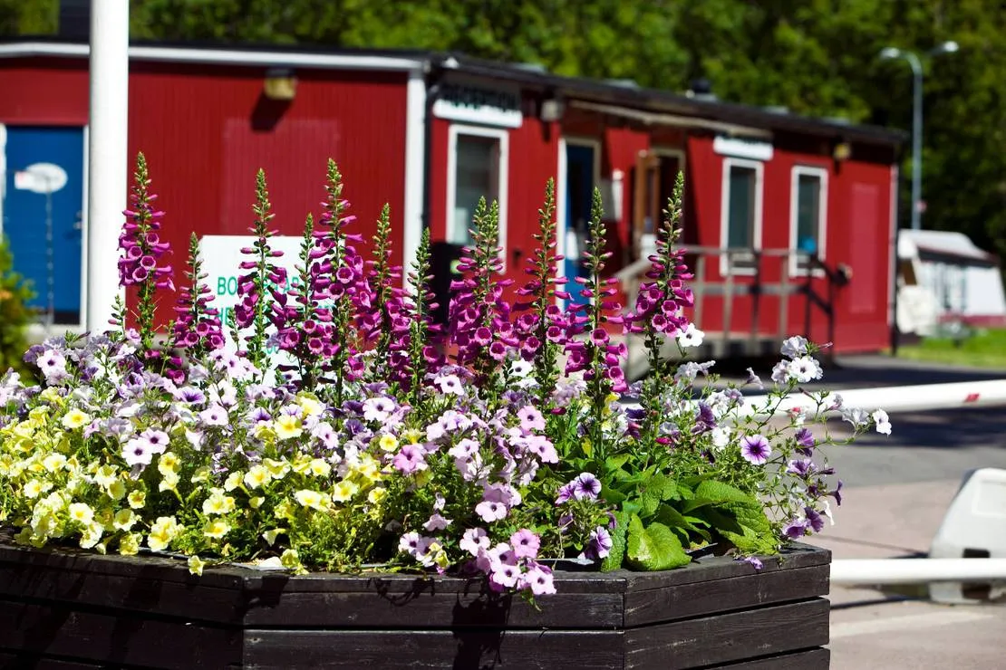 lisebergs-camping-delsjon-goteborg-yggqo