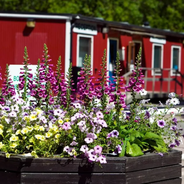 lisebergs-camping-delsjon-goteborg-yggqo