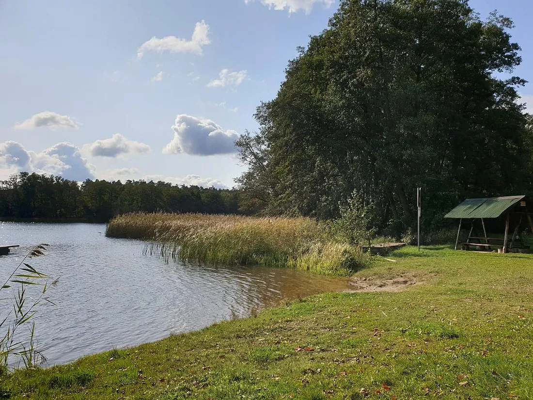 naturcamp-gleuensee-templin-gwyvs