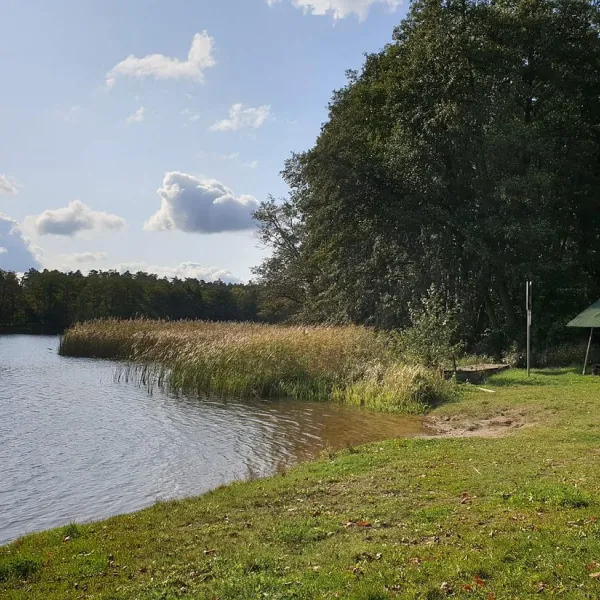 naturcamp-gleuensee-templin-gwyvs