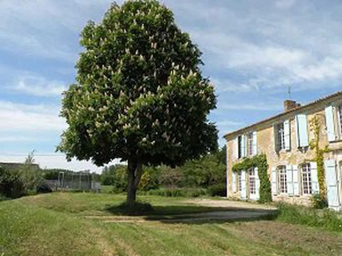 la-motte-aubert-saint-saturnin-du-bois-scruz