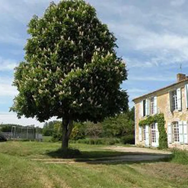 la-motte-aubert-saint-saturnin-du-bois-scruz